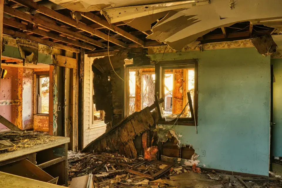 Leading Mold Removal Company In Albany, GA — Albany, GA