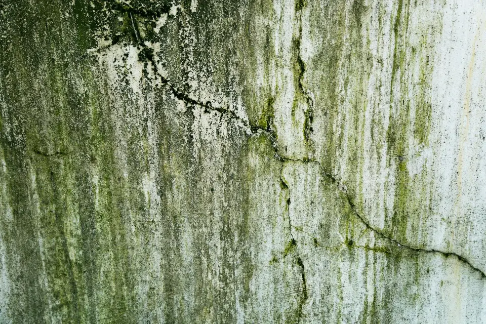 The Aircare Story: Protecting Albany, GA from Mold