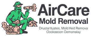 Aircare Mold Removal
